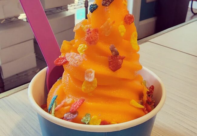 frozen-yogurt-island-time-fernandina-beach-fl-6