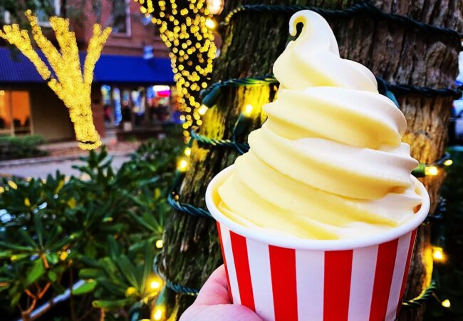 frozen-yogurt-island-time-fernandina-beach-fl-7