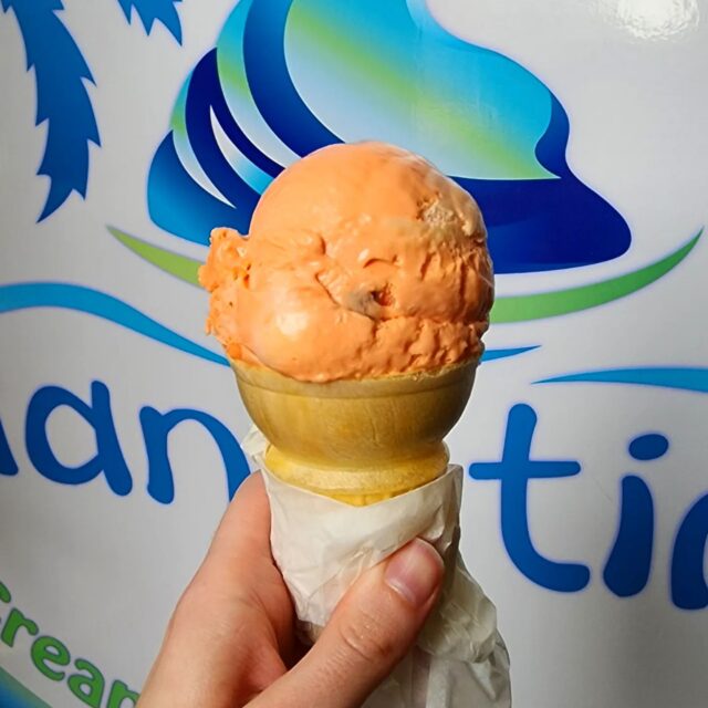 ice-cream-fernandina-beach-fl-4